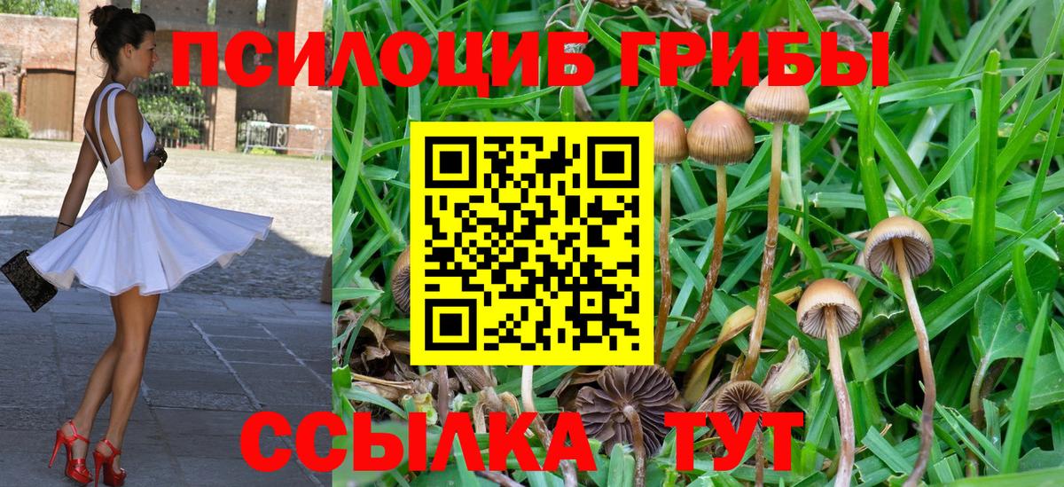 Псилоцибиновые грибы прущие грибы Братск
